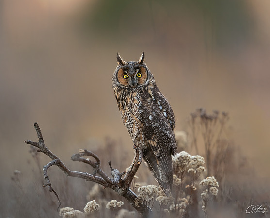 _N8S4692-Edit