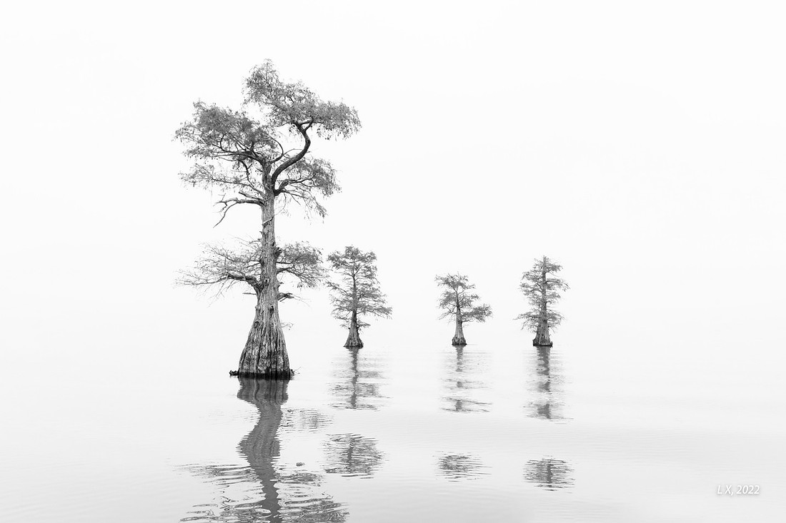 Solofuns - 36 Morning mist