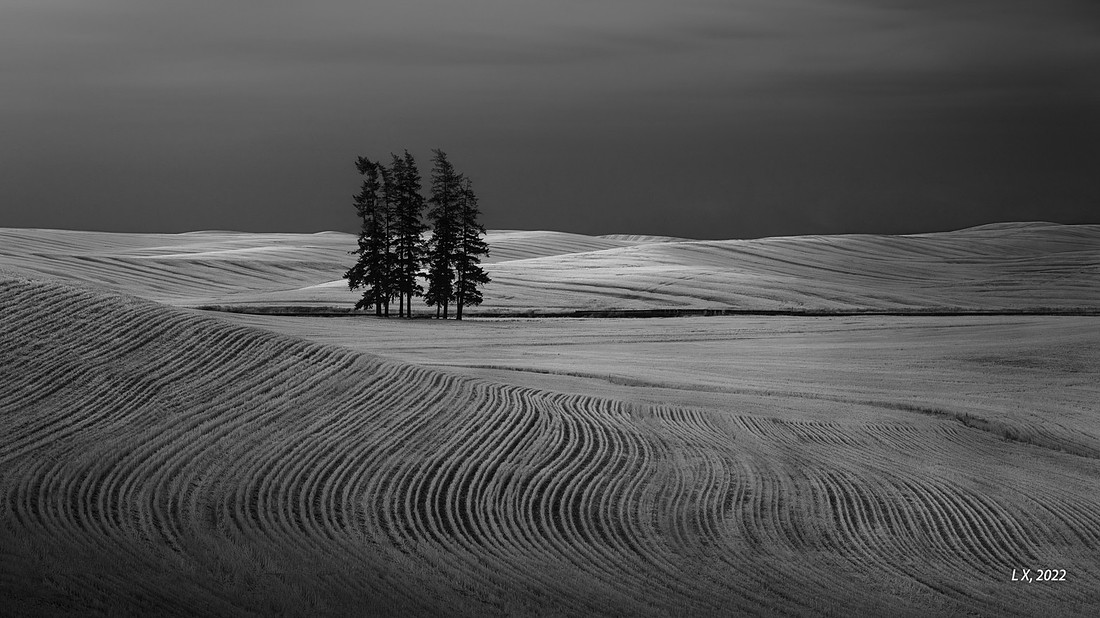 Solofuns - 36 Lonely