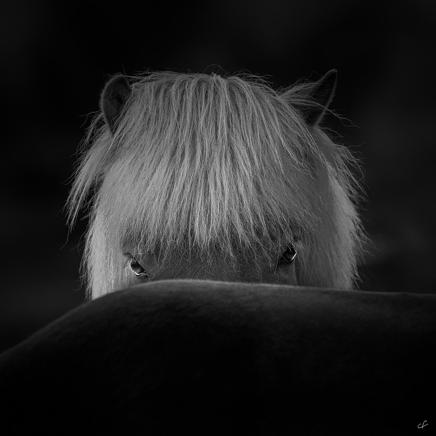 天马 - 30 N8S9074-Edit-5