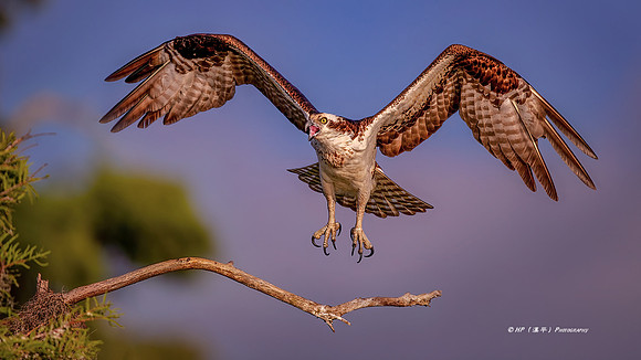 Take Off