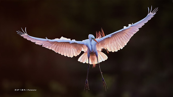 Landing