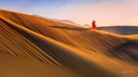 Desert Morning