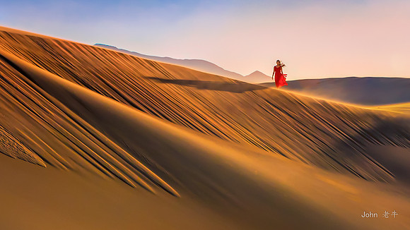 Desert Morning