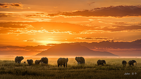 Golden Africa