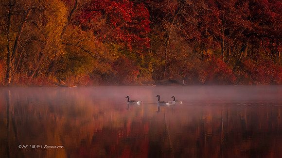 Autumn-Impression
