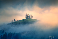 Morning Light