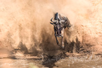Brave Leap