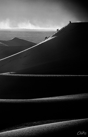 _N8S8993-Edit