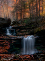 Falls story