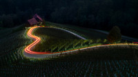 JIianping-Vineyard Love Light