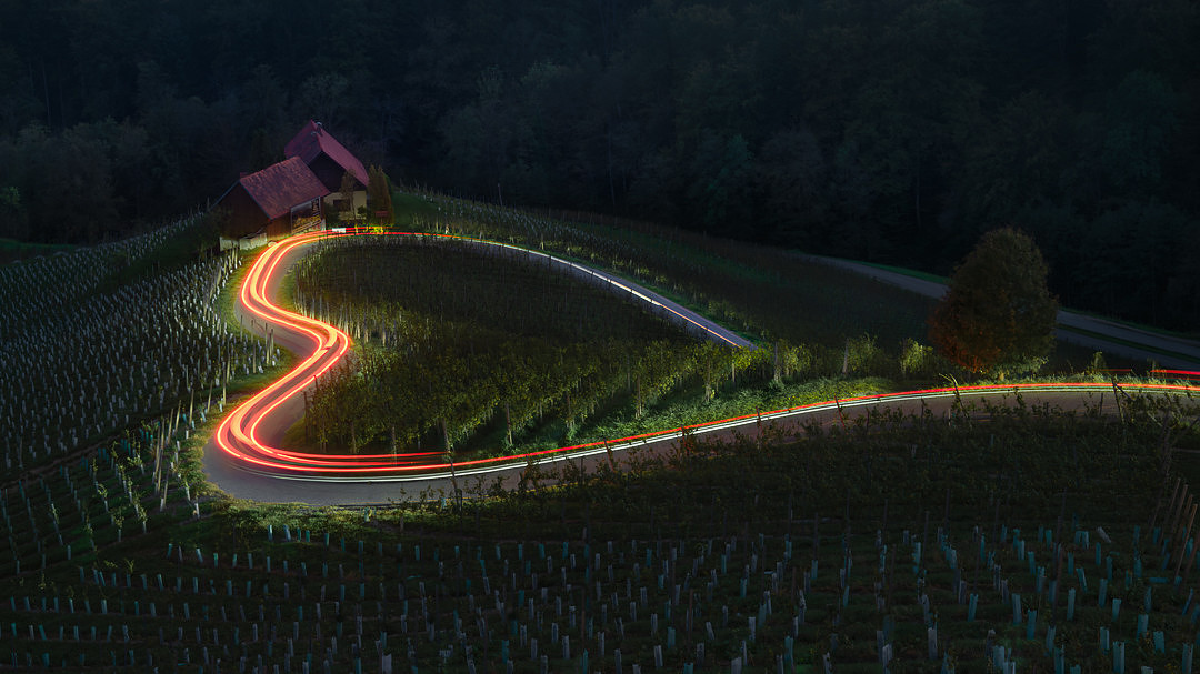 JIianping-Vineyard Love Light