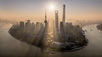 老牛-The Morning of Shanghai