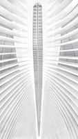 Louise_Ceiling of World Trade Center