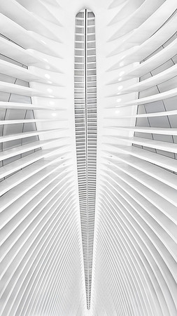 Louise_Ceiling of World Trade Center