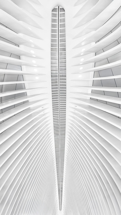 Louise_Ceiling of World Trade Center