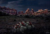 _DSC2616-Edit