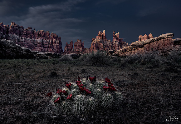 _DSC2616-Edit