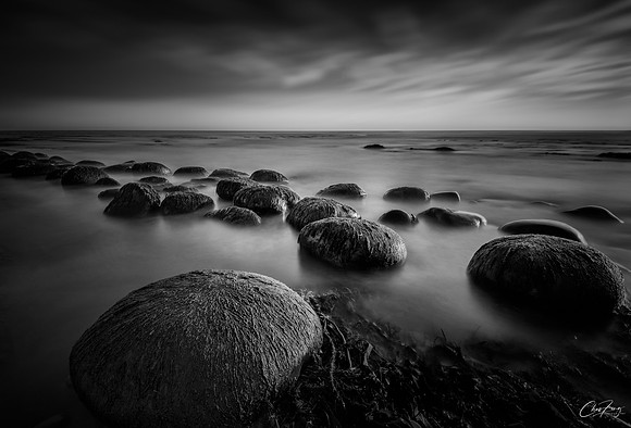 _N8S5780-EditBW
