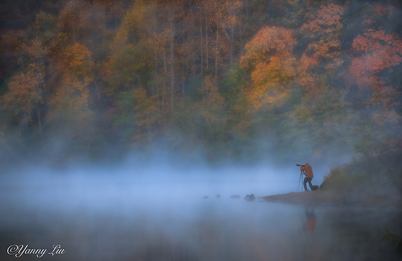 Misty Needwood Lake