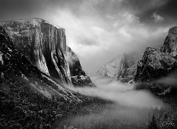 _ZDS9339-Edit